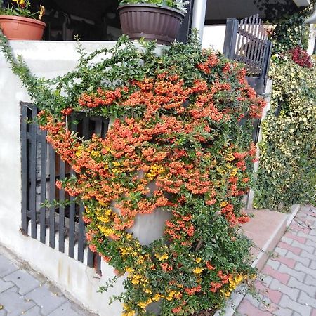 Apartment Fenix Ni Εξωτερικό φωτογραφία
