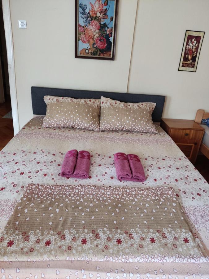 Apartment Fenix Ni Εξωτερικό φωτογραφία